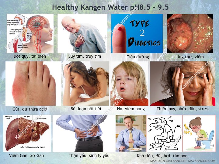 Máy lọc nước kangen 8